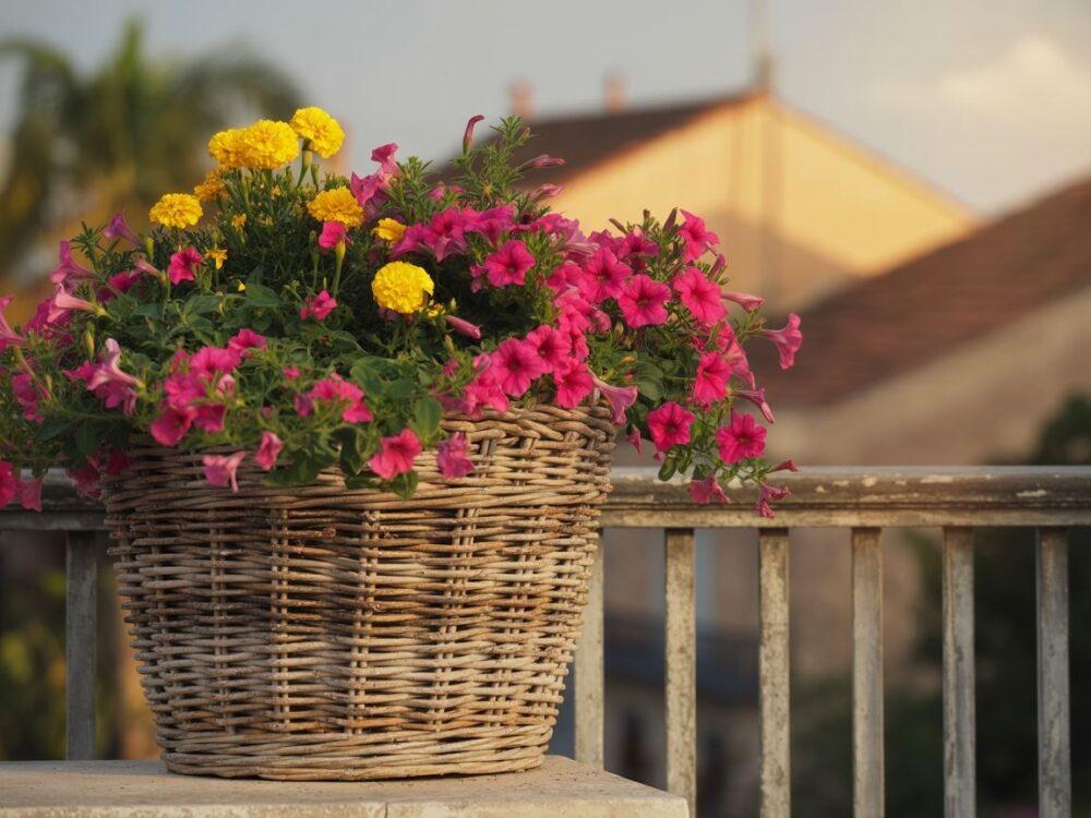 dekoracja wnętrza z kwietnikiem rattanowym