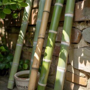 tyczki bambusowe